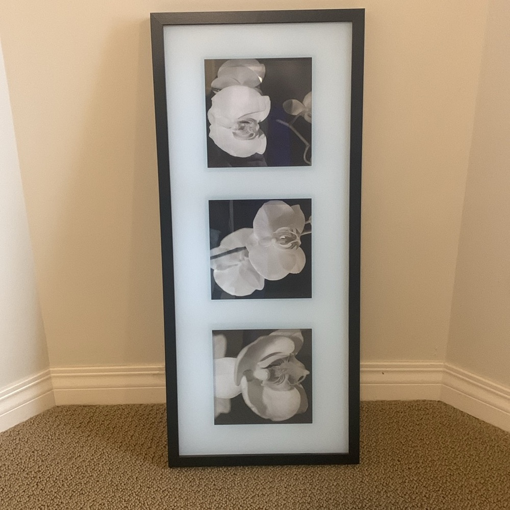 Shadow Box Picture Art - Picture 2 of 4